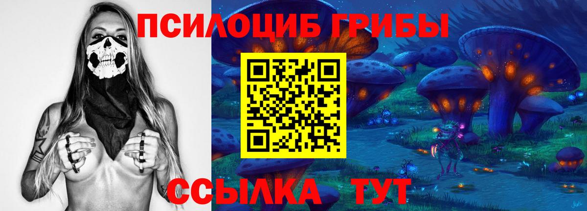 Псилоцибиновые грибы прущие грибы Ревда